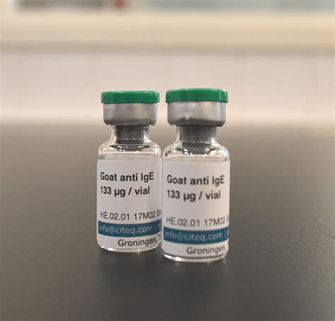 mouse anti ige antibody